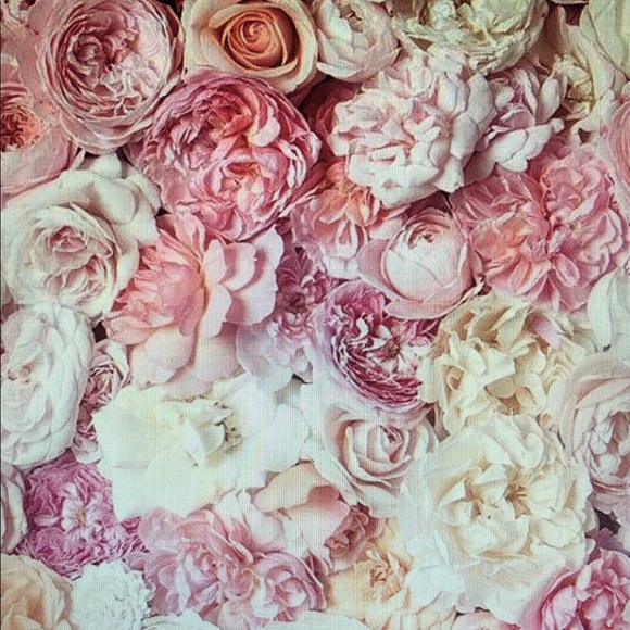 Meet your Posher, Charlotte - Picture 1 of 1